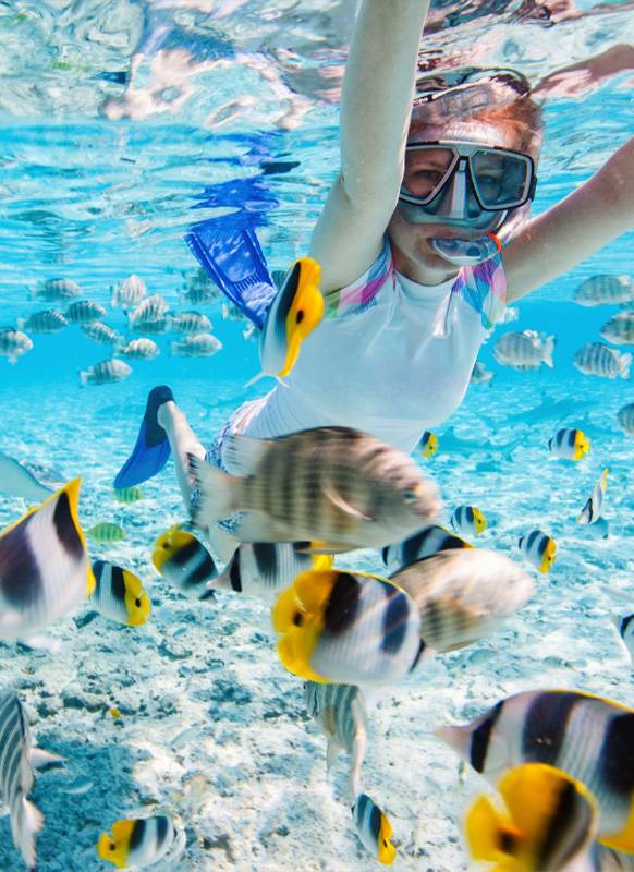 Shadowfax Tours & catamaran Cruise Snorkeling